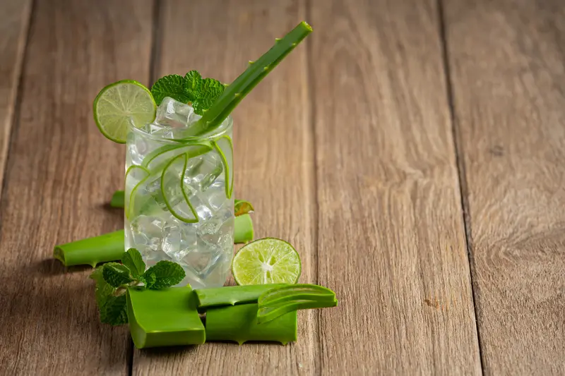 האם כדאי לשתות משקה אלוורה כל יום?